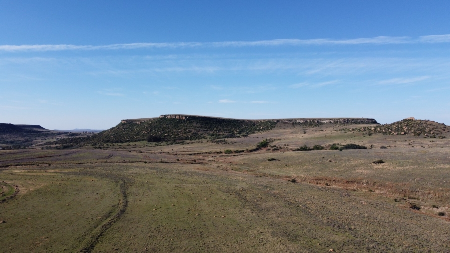 Commercial Property for Sale in Paul Roux Free State